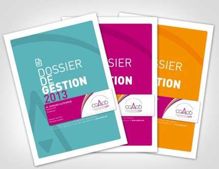 dossier de gestion cga06