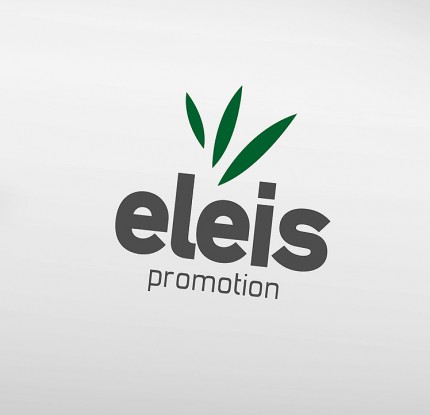 plaquette_ricci_eleis_def